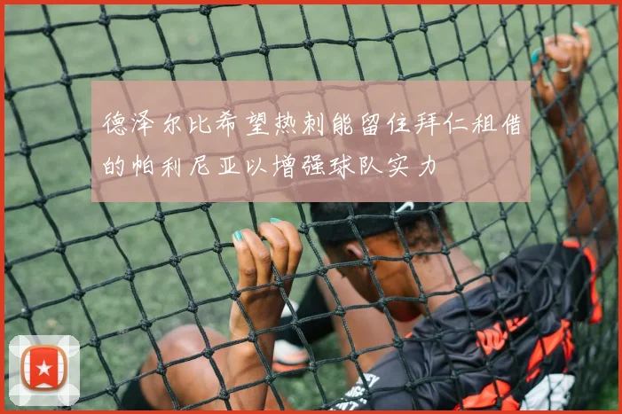 德泽尔比希望热刺能留住拜仁租借的帕利尼亚以增强球队实力
